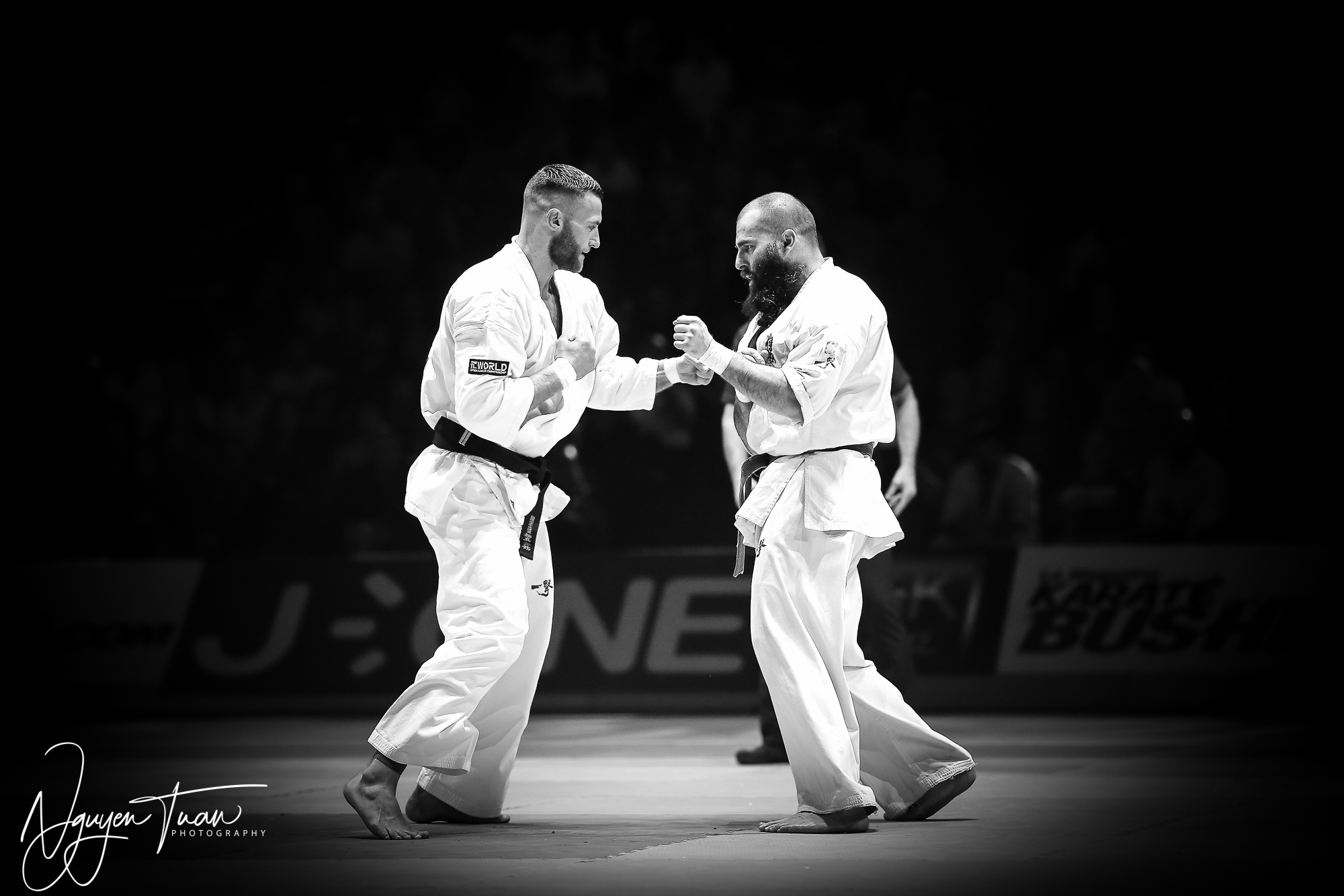 20190324 Festival des Arts Martiaux 6080